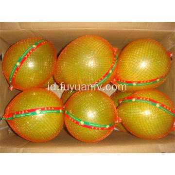 Dijual hot lezat pomelo segar